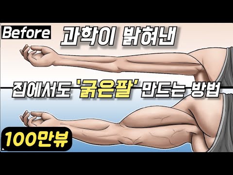 과학으로 입증된 집에서도 '굵은 팔' 만드는 최고의 방법 !!