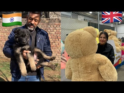 New Puppy in the house(farm) | Maa or aarzoo ek sath in U.K.🇬🇧 | New road trip announced