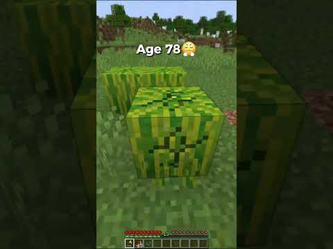 How To Escape Traps At Every Ages In Minecraft (World's Smallest Violin) #minecraft #shorts