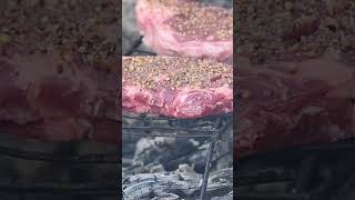 Joe & Wolfie’s Wilderness Camping Adventure | Steak Over the Campfire #shortsfeed #shortsviral