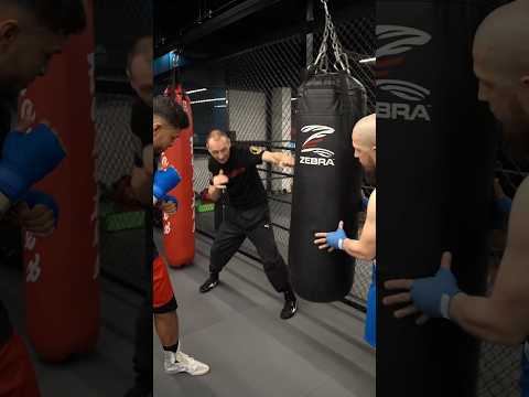 РАЗЛОЖИЛ КАК ПО УЧЕБНИКУ#shorts