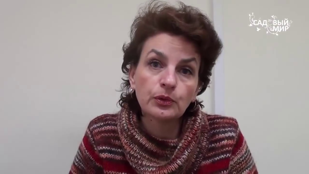 Пикировка перцев и баклажанов