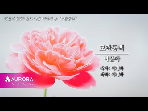 MVㅣ나훈아 - 모란동백ㅣ2020 신곡 아홉 이야기