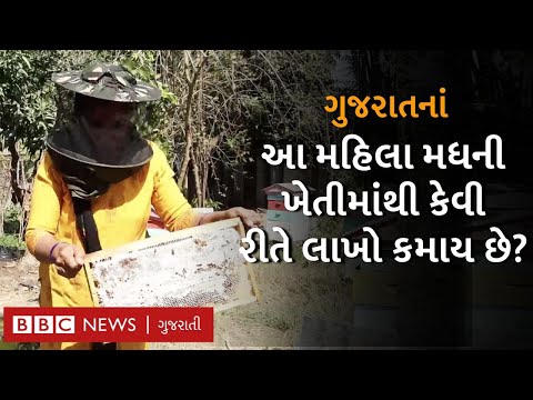 Navsari : આ યુગલ પાસે છે 13 કરોડ મધમાખી, મધથી કમાય છેે લાખો રૂપિયા Honey Bee