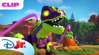Protect the Geyser 💧 | Spidey and His Amazing Friends 🕸️ | Disney Jr. MENA