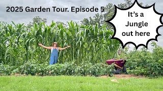 RuthAnn's 2025 Garden Tour, Episode 5