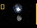 Asteroid Monitoring and Impact Assessment