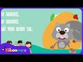 Squirrel Behavior and Characteristics