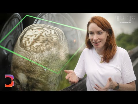 What If Pain Could Be Made Optional? | The Future With Hannah Fry