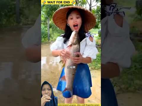 Nemu Ikan besar di pinggir jalan‼️ #shorts #shortvideo #short #dubbing #funny #lucu