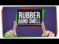 Understanding the Physics of Rubber Bands