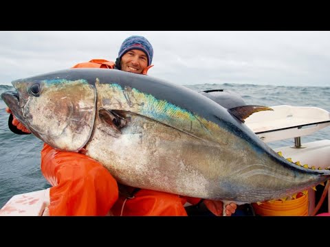 Amazing GIANT BLUEFIN TUNA Fishing Skill - Catching Strongest Tuna Fish on The Sea