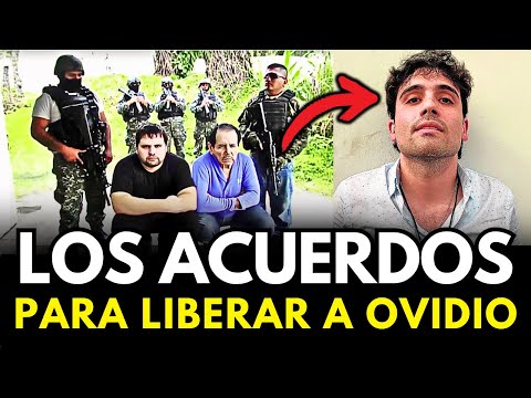 Así Negocian ENTREGA del MAYO ZAMBADA y LIBERACIÓN de OVIDIO GUZMÁN 😱🔥