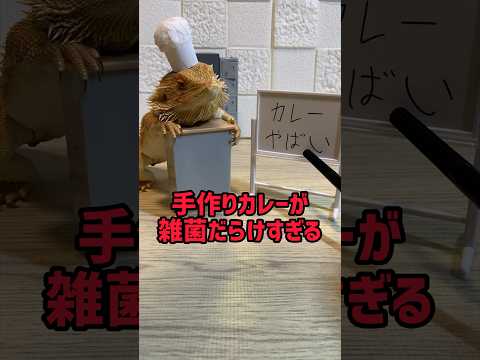 手作りカレーが雑菌だらけすぎる　【獣医学生が解説】