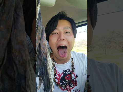 ネギ嫌いでも食べれるネギマの作り方 #料理男子 #主婦必見