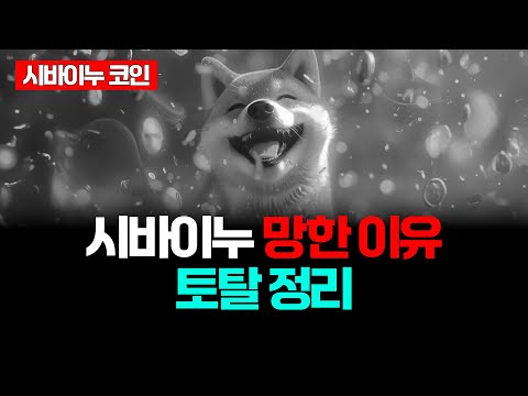 시바이누 핵심 분석과 이슈 한방에 정리! ※투자자 필수 시청!※