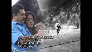 El Gato Negro | Me voy para olvidarte