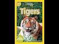 Tigers: The Majestic Big Cats