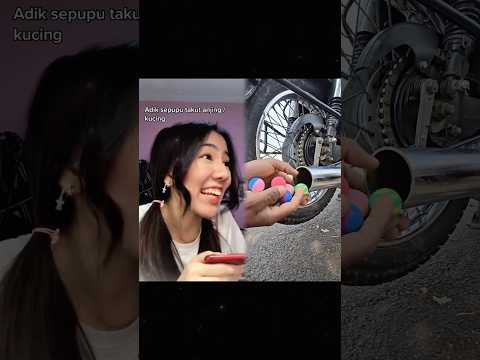 #pov adik sepupu yang takut anjing/ kucing #fyp #foryou #viral