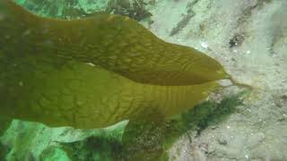 19APR2024 Tanker Control Lonhart GOPR2250