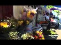 Exploring Day of the Dead vs Halloween in Cancun