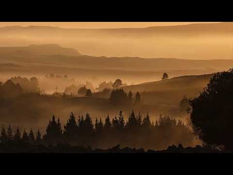 Abendstille überall