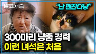 “왜 이러는 걸까” 냥줍 초고수 할머니👵 골머리 앓게 하는 고양이와 그 친구들까지?｜고양이를 부탁해｜알고e즘