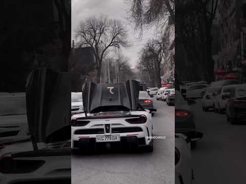 Санжик Феррари #тамаев #узбекистан #асхабтамаев