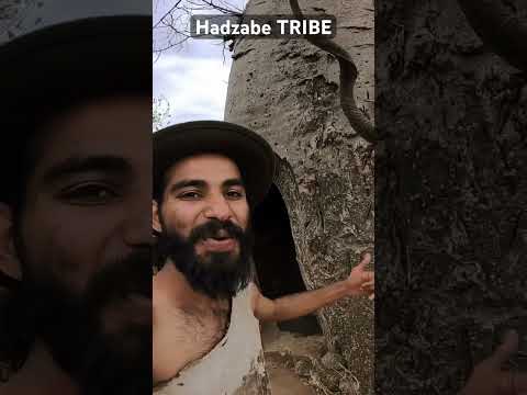 HADZABE HUNTERS OF TANZANIA #africa #hadzabetribe #hadzabe