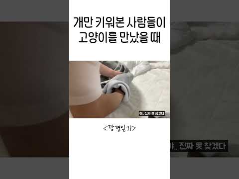 고양이는 이런 곳에 숨는구나