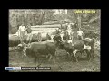 História Econômica do Paraná