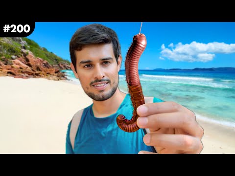 The Mysterious Island of Lizards! 🦎