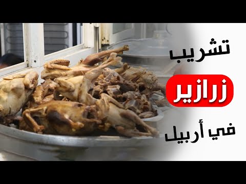 تشريب زرازير 😍✌️مطعم في اربيل يقدم تشريب الطيور