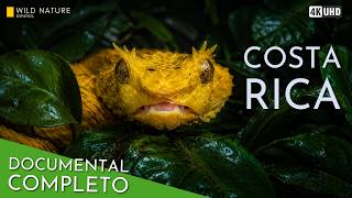 PARAÍSO IMPLACABLE - La Batalla por la Vida en Costa Rica | Documental Animal