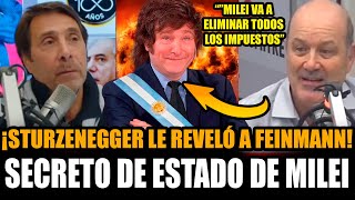 ¡STURZENEGGER REVELÓ SECRETO DE ESTADO DE MILEI QUE ELIMINA TODOS LOS IMPUESTOS EN LO DE FEINMANN!