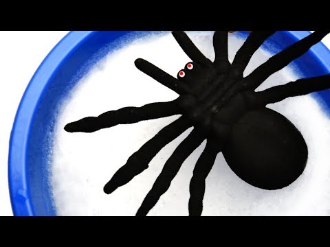 Wild Zoo Animals Toys - Learn Animals Names with Toys for Kids