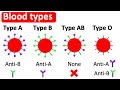 Understanding Blood and Blood Groups