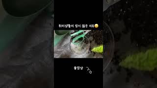 고양이 키우는 모든 분들을 존경합니다.💕