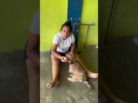 La abuela preocupada jajajaja 😂