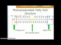 Understanding Omega-3 Fatty Acids