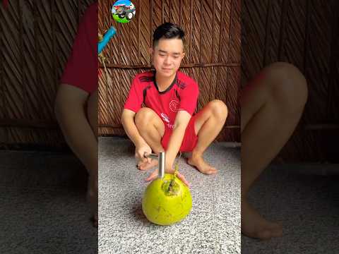 Cây Đục Trái Dừa Hay##máycàymiềntâytv #agrimotor #mientay