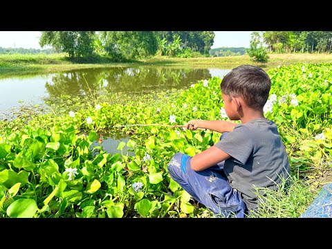 Fishing Videos || The Village Boy Hunting Big Catfish By Bamboo Tools Hook In The Village Pond