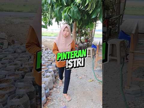 Istri lebih pintar #komedi