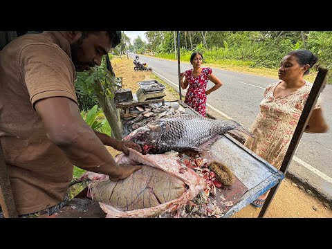Unbelievable 20Kg Catla Fish Eggs Catch in Sri Lanka | Monster Fish Cleaning ASMR