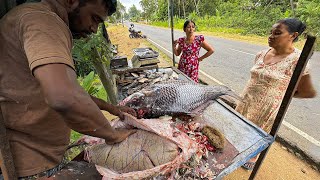 Unbelievable 20Kg Catla Fish Eggs Catch in Sri Lanka | Monster Fish Cleaning ASMR