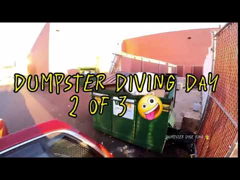 Dumpster Diving! Stores threw everything away! REVEAL