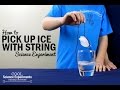 Ice Cube Experiment Instructions and Objectives