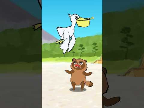 子亀キャッチチャレンジ #animation #cartoon #babyturtles