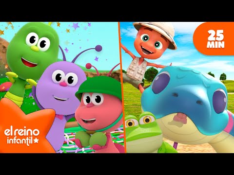 Animales y Bichos | Compilación de canciones de insectos🌈Canciones infantiles | El Reino Infantil