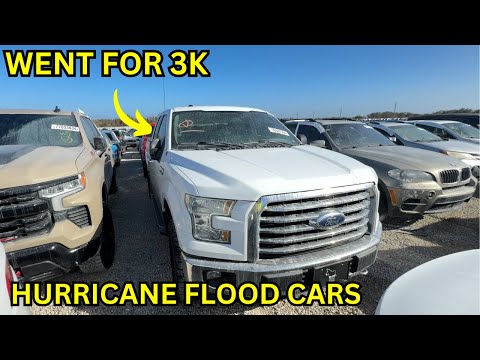 Hurricane Flood Cars Are Going For A Steal! Mike Explores Punta Gorda Copart